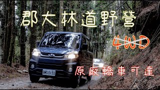 來去郡大山野營吧！四傳？不用！轎車也能來。｜郡大林道｜Veryca A180