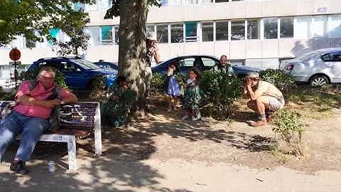 VID 20200719 175245 LS