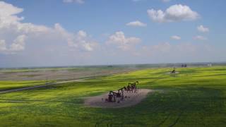 Sask Oil Well Pump Jacks In Canola By Drone Shop Canada Inspire 1 Pro Zemuse X5