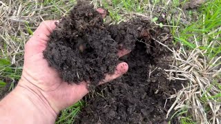 Regenerative Agriculture: How We Improve Soil Quickly without Costly Equipment screenshot 5