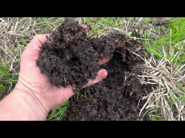 Regenerative Agriculture: How We Improve Soil Quickly without Costly Equipment class=