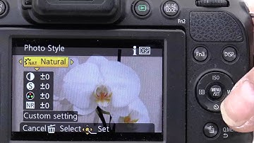 Panasonic Lumix FZ200 mini series- Getting Better Images Part 1 Bright Sunshine