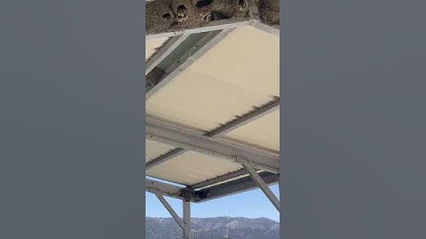 Unbelievable nests build by Birds! Swallow colony! 😲