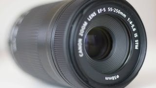 Canon 55-250mm STM Review