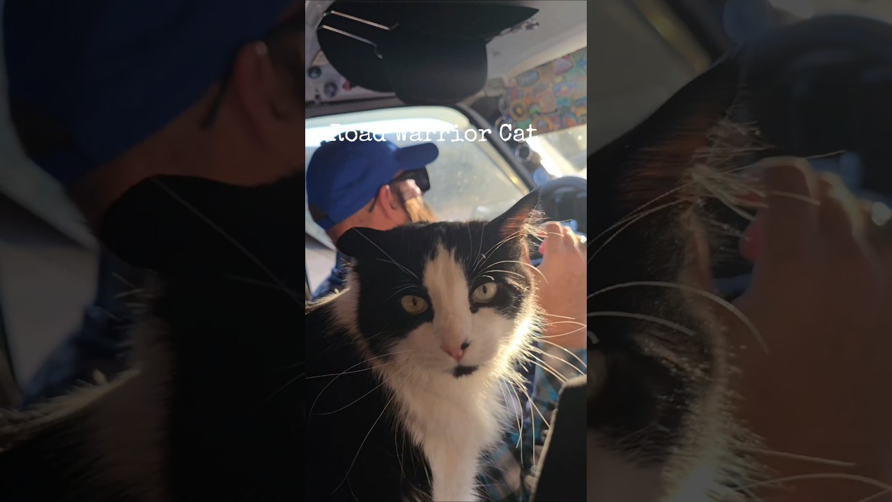 Bubba the road warrior! 