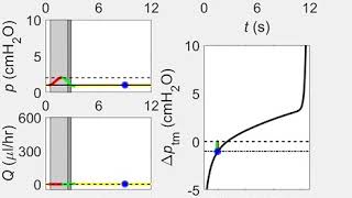 Lymphatic System Flows Supplemental Video 2