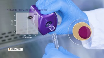 Isolate Desired Cells with EasySep™