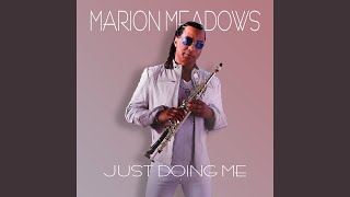 Black Cat - Marion Meadows
