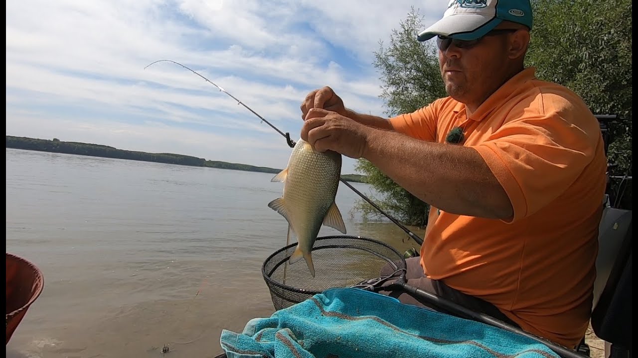 Pescuit la feeder pe Dunare. Unde sunt platicile mari ?