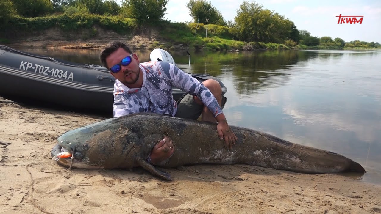 Z WĘDKĄ NAD WODĘ W POLSKĘ I ŚWIAT ODC. 255 TV TRWAM - REKORDOWY SUM Z WISŁY