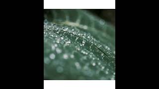 Bugün Hava Kötüsiir