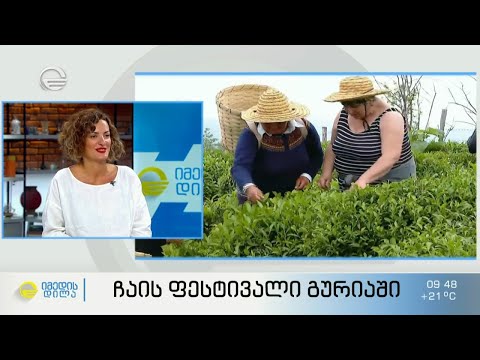 ჩაის ფესტივალი გურიაში - მასტერკლასი, ფოტო გამოფენა და ფერმერების შეჯიბრი