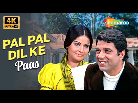 Pal Pal Dil Ke Paas (4K) | Black Mail(1973) |Kishore Kumar Romantic Hits | Dharmendra, Rakhee