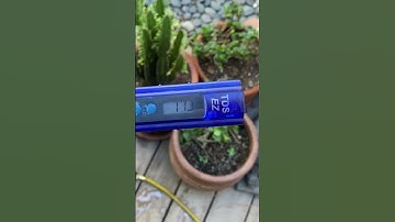 DI Resin Replacement: Key Signs for Your Water Fed System