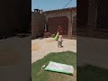 Gandum ki safai #happyvillageroutine #gandum #wheat_rate_today #shortvideo