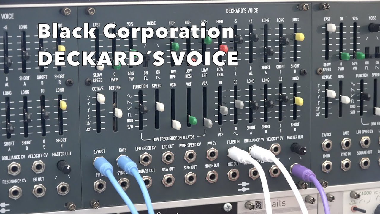 楽器/器材新品未使用　Black Corporation Deckard's Voice