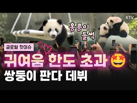 등장부터 화제 만발🐼 홍콩 쌍둥이 판다 오픈런 현장｜이스라엘 전폭 지지하는 트럼프｜트럼프 ‘유럽 패싱’ 논란｜<strong>칠레</strong> 동물원의 이색 밸런타인 행사