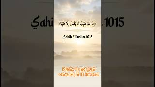 Allah Is Pure and Accepts Only Pure | Hadith, Islam Reminder