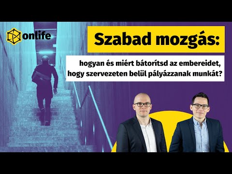 Videó: Hogyan Lehet Módosítani A Belső Munkaügyi Szabályokat