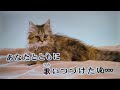 天童よしみさんの【永遠に輝いて】cover