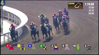 Hongkong Horse Racing at Shatin : December 1,2024(Sunday) AWT-Class 5 -1650m:Race 1