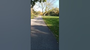 الشيخ عبد الباسط عبد الصمد. اواخر سورة الحشر#قرآن #اكسبلور