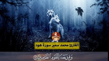 وَنَادَىٰ نُوحٌ رَّبَّهُ | تلاوة مؤثرة من سورة هود | القارئ محمد سمير