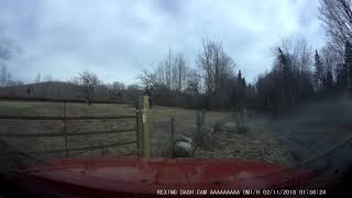 2018 0211 015148 530