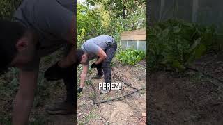 Quitamos las malas hierbas del huerto #huerto #UnHuertoMás #jardin #plantas #agricultura #cultivo