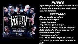 El gatito de mi ex oficial remix  letra