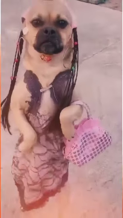 Lara pridai lara