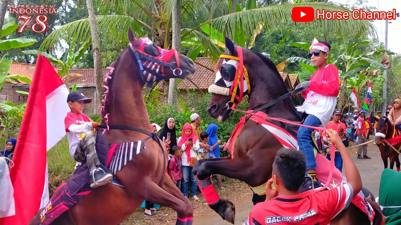 Kuda | Karnaval Naik Kuda Jingkrak Hari kemerdekaan RI 🇮🇩 | Lagu 17 Agustus 1945 Terbaru | Horse