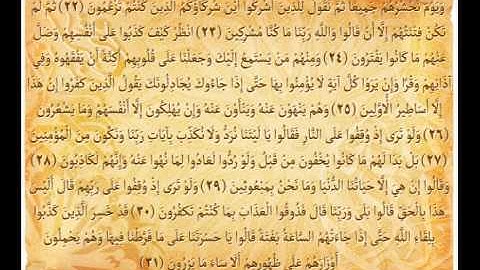 من سورة الانعام للشيخ عمرو الدسوقي