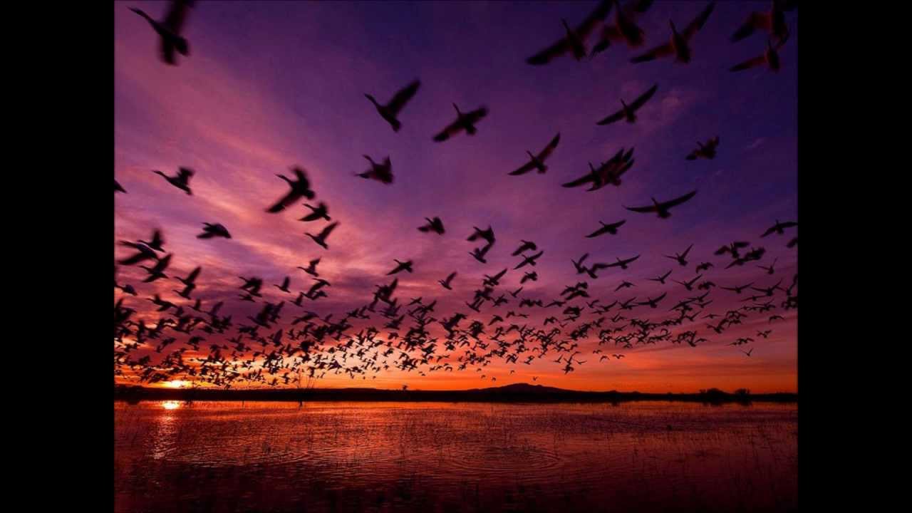 Sajana Vichora Ustad Shujaat Khan