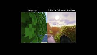 Sildurs Vibrant Shaders Showcase