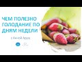 «Чем полезно голодание по дням недели?». Часть 1.