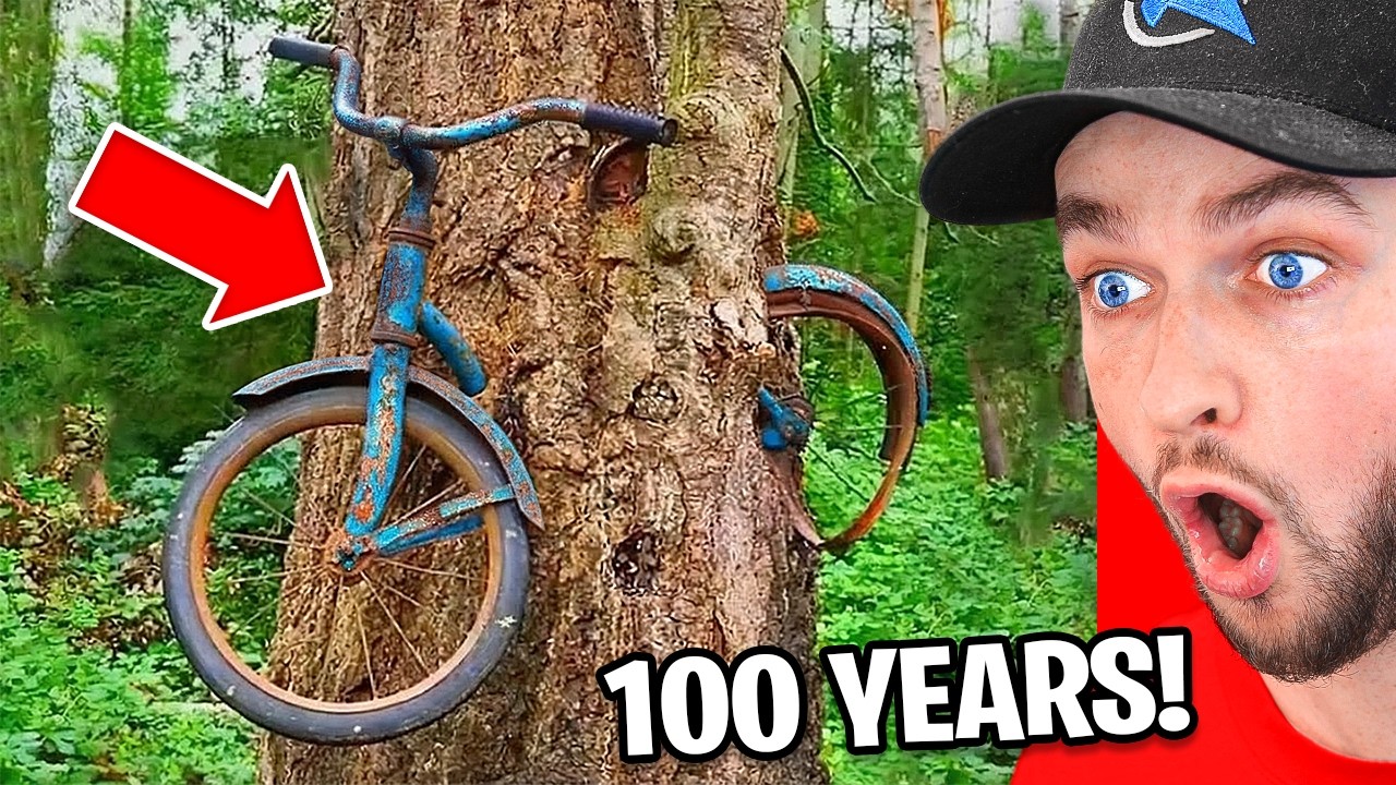 Amazing Things Show the Power of Time!