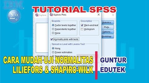 Cara Mudah Uji Normalitas Teknik Liliefors dan Shapiro Wilk dengan SPSS