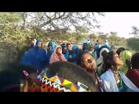 قبيلة البزعه شمال دارفور 