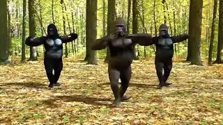 Gorilla Dance Meme