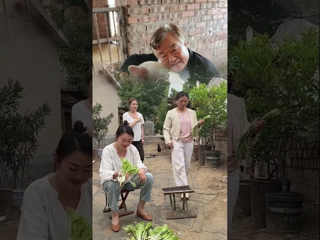 더운데 웃으며 건강하세요 #웃음 #웃으면 #각종유머 #웃긴영상 #웃긴짤 #게그 #음악
