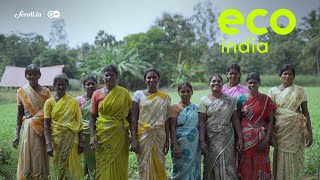 Eco India: How an army of women in Vellore resurrected a river that once served as their lifeline