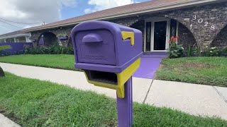 Check out this LSU superfan's purple and gold home
