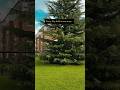 Every day holds a new story #shorts #shortvideo #youtubeshorts #life #story #reading #uk