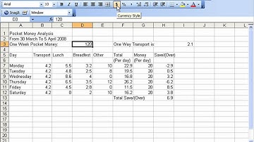 Microsoft Excel 2003 4-3 改变数字格式为货币样式 (Change Currency format)