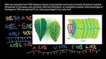 Exclusion from Chargaff’s rule explained