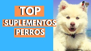 Principales suplementos nutricionales para perros/suplementos perros Madrid