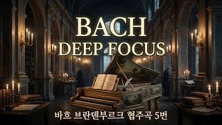 Bach: Brandenburg Concerto No. 5, BWV 1050 | Dark Academia & Deep Focus | 바흐 브란덴부르크 협주곡 5번