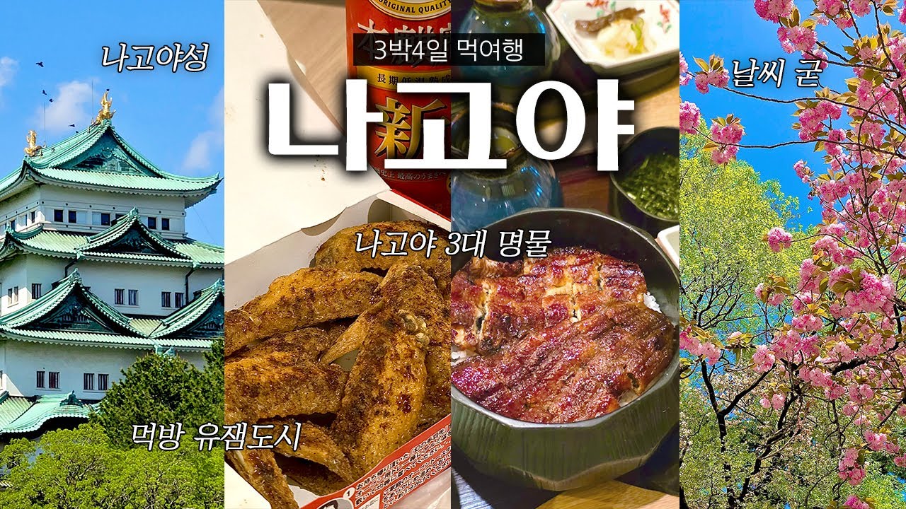 🇯🇵 유잼도시 나고야 3박 4일 먹방여행 브이로그 | 🚫주의 진짜 먹기만함🚫 | 히츠마부시,미소카츠,테바사키,이자카야,이치란라멘,회전초밥,편의점털기 | 나고야 ep.1