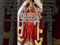 பயத்தை வெல்லுதல் #lordmurugan #muruganvakku #murugantamil #shortvideo #tamil